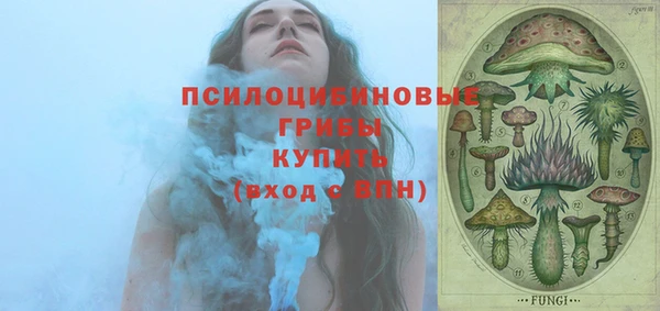 эйфоретик Липки