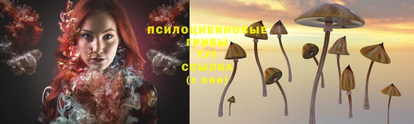 мескалин Магадан