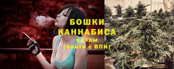 прущая мука Магас