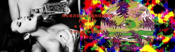 прущая мука Магас
